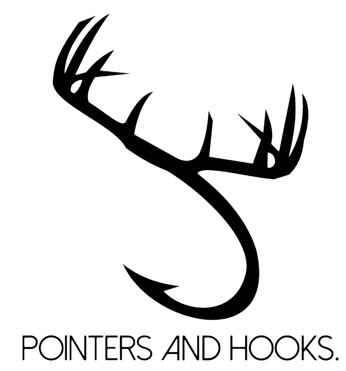 Pointers And Hooks